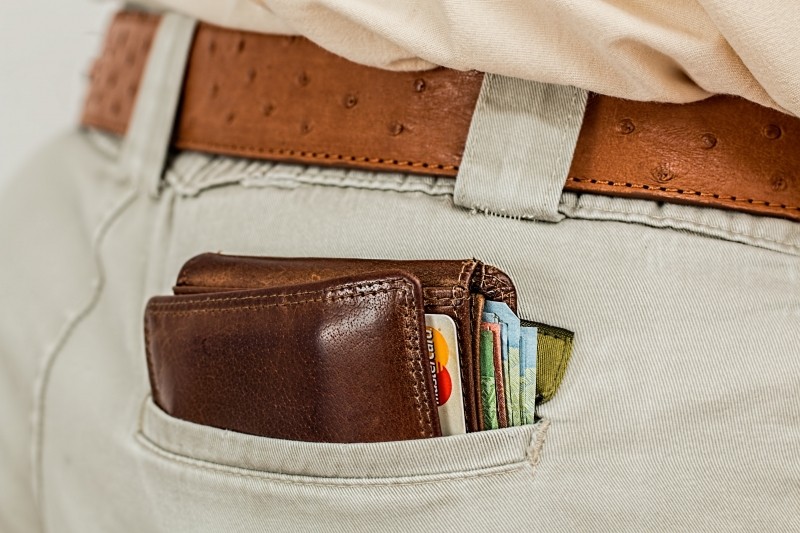 wallet-cash-credit-card-pocket-money-purse